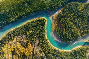 A drone view of the river in the woods